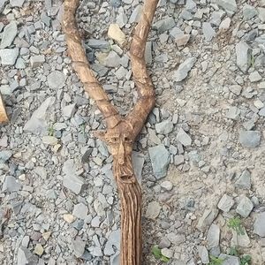 Antelope wood spirit